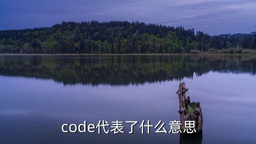 code什么意思,關于codecode你必須知道這些事情