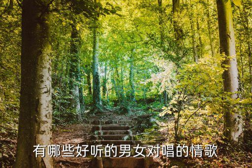 有哪些好聽的男女對唱的情歌
