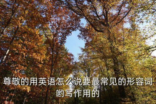 尊敬的用英語怎么說要最常見的形容詞喲寫作用的