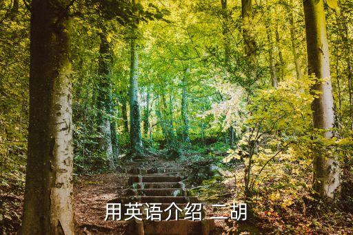 用英語介紹 二胡