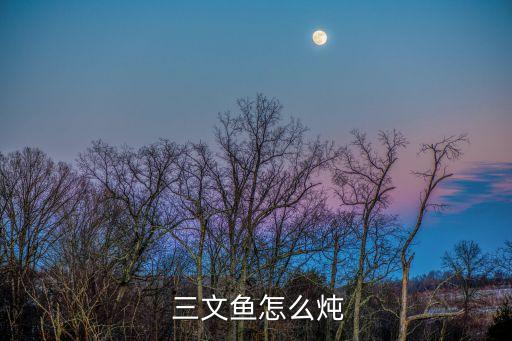 三文魚燉豆腐,三文魚可以和豆腐一起燉吃法不同!