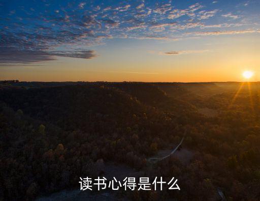 讀書(shū)心得是什么