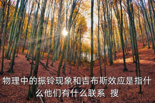 物理中的振鈴現象和吉布斯效應是指什么他們有什么聯系  搜