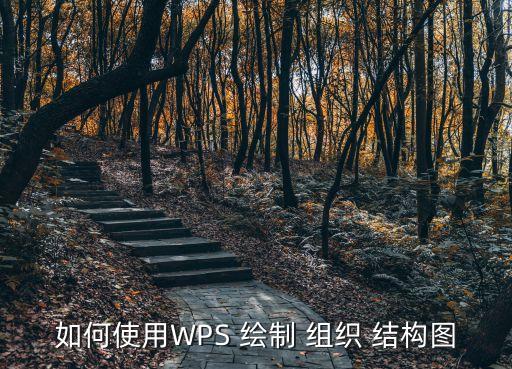 組織結構圖的繪制方法,怎么用wps制作組織結構圖?