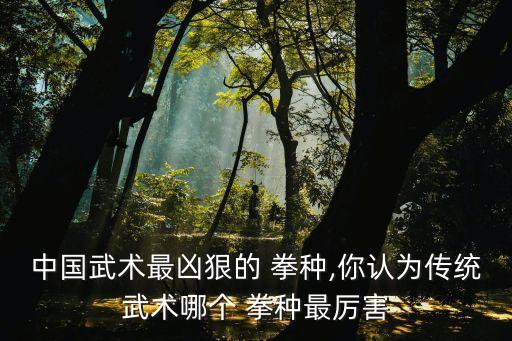 拳種,中國傳統拳法種類繁多以歷史人物命名最為壯觀
