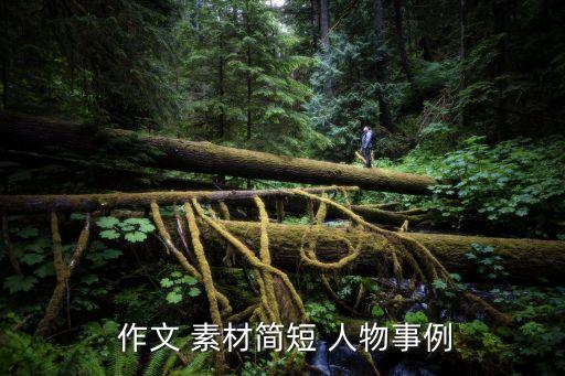  作文 素材簡短 人物事例