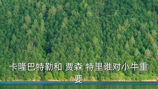 賈森特里,我國男籃球員包辦前鋒劉易斯和巴特勒的世界杯