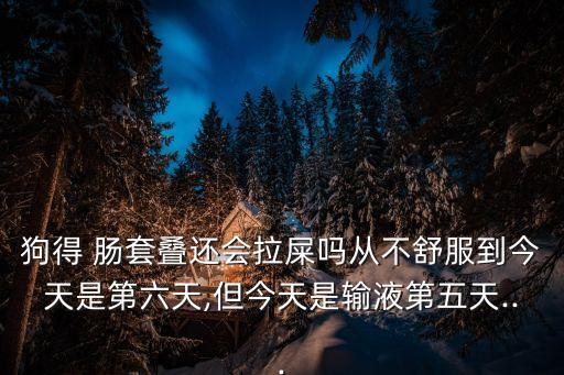 狗得 腸套疊還會(huì)拉屎?jiǎn)釓牟皇娣浇裉焓堑诹?但今天是輸液第五天...
