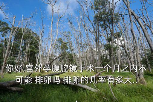 你好,宮外孕腹腔鏡手術(shù)一個(gè)月之內(nèi)不可能 排卵嗎 排卵的幾率有多大...