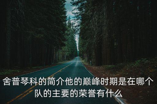 舍普琴科的簡介他的巔峰時期是在哪個隊的主要的榮譽有什么