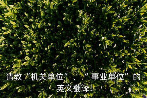 事業的英文,2020年的職場風云