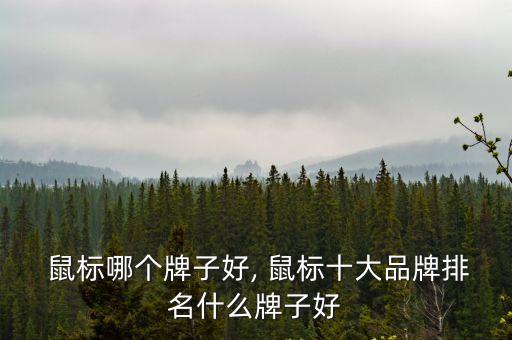  鼠標哪個牌子好, 鼠標十大品牌排名什么牌子好