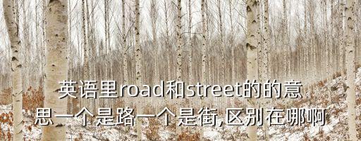 英語里road和street的的意思一個是路一個是街,區別在哪啊