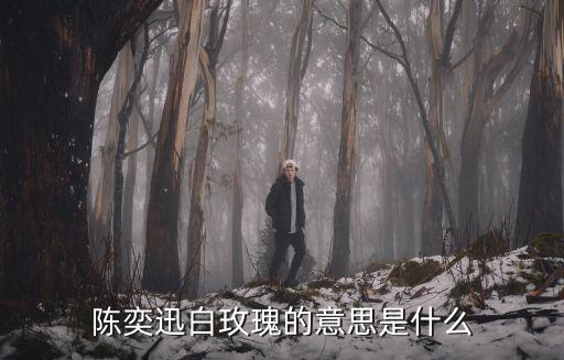陳奕迅白玫瑰的意思是什么
