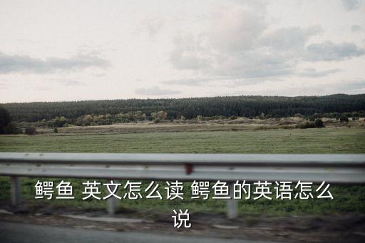鱷魚(yú)英文怎么讀,第二集:鱷魚(yú)和牛油果