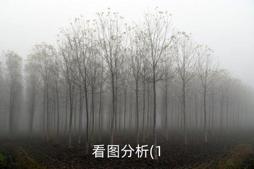 看圖分析(1