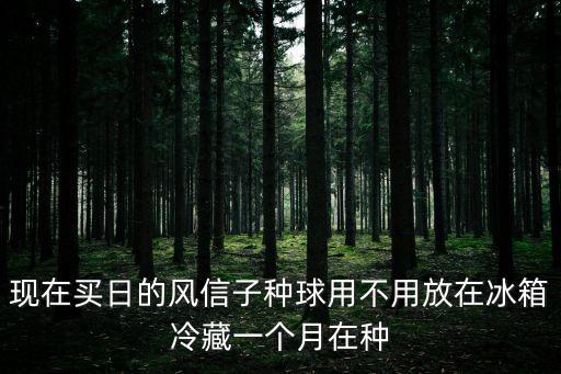 現(xiàn)在買日的風(fēng)信子種球用不用放在冰箱冷藏一個(gè)月在種