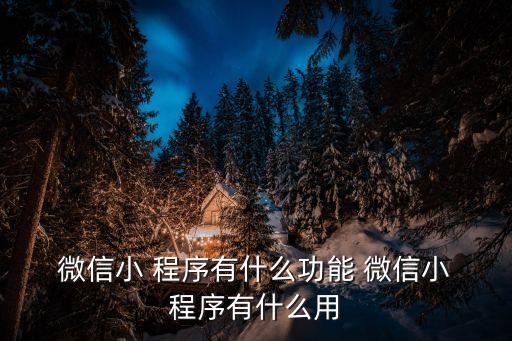  微信小 程序有什么功能 微信小 程序有什么用