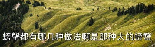 螃蟹都有哪幾種做法啊是那種大的螃蟹