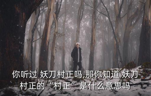 你聽過 妖刀村正嗎,那你知道 妖刀村正的“村正”是什么意思嗎