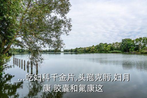 ...吃婦科千金片,頭孢克肟,婦月康 膠囊和氟康這