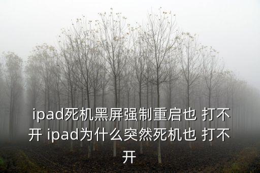 ipad打不開,這些東西不要急著買!