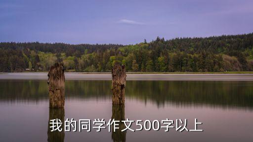 我同學，我的同學作文400字