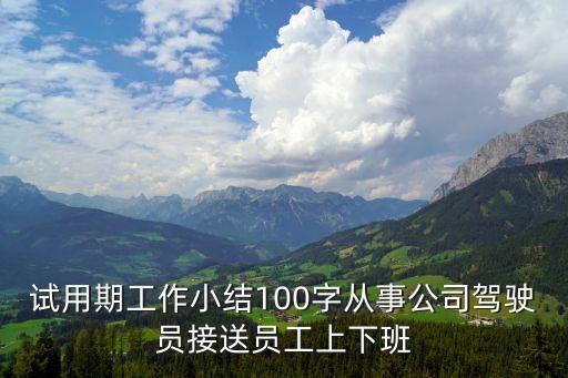 試用期工作總結100字，試用期工作總結簡短