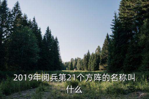 2019國慶閱兵，2019年的閱兵式
