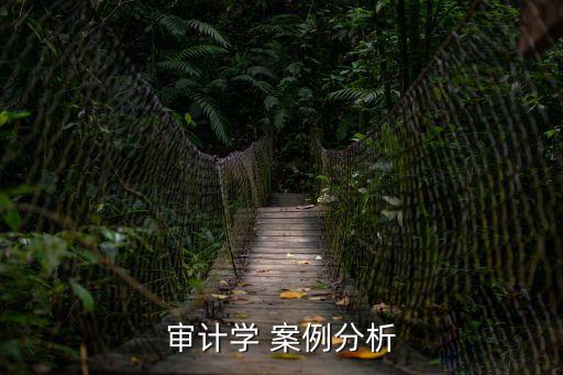 審計學 案例分析