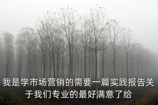 專業實踐報告，大一的專業實習報告怎么寫啊信息管理與信息系統專業的