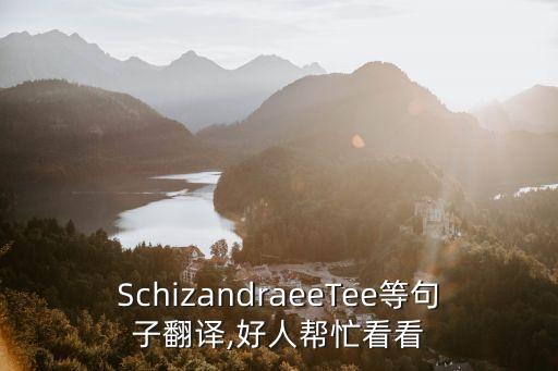 SchizandraeeTee等句子翻譯,好人幫忙看看