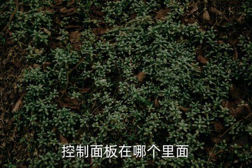 控制面板在哪里，控制面板在哪個里面