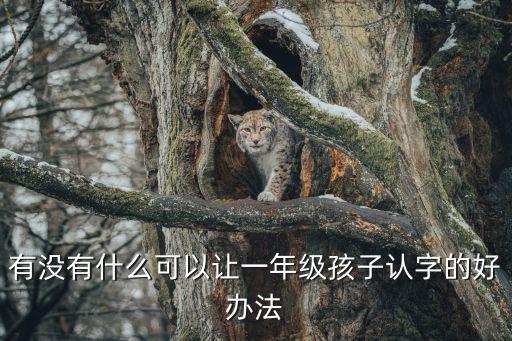 有沒有什么可以讓一年級孩子認字的好辦法
