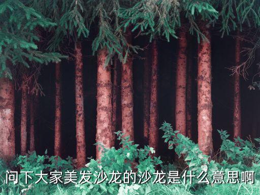 問下大家美發沙龍的沙龍是什么意思啊