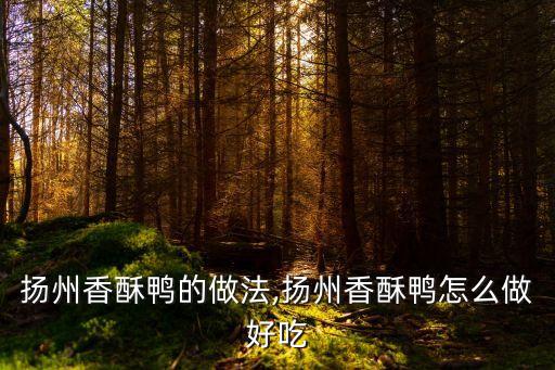 揚(yáng)州香酥鴨的做法,揚(yáng)州香酥鴨怎么做好吃