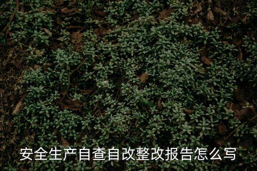 安全生產(chǎn)自查自改整改報告怎么寫