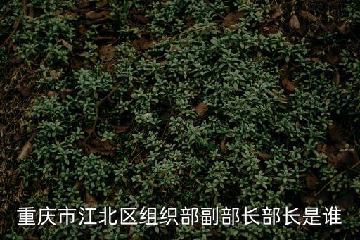 重慶市江北區組織部副部長部長是誰