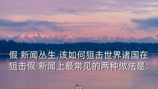 假 新聞叢生,該如何狙擊世界諸國在狙擊假 新聞上最常見的兩種做法是...