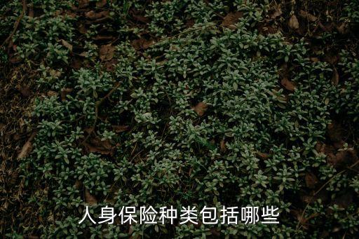 人身保險種類包括哪些