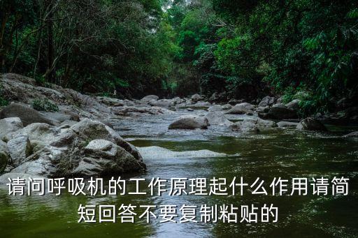 呼吸功，請問呼吸機的工作原理起什么作用請簡短回答不要復制粘貼的