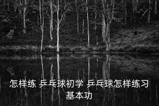 怎樣練 乒乓球初學 乒乓球怎樣練習基本功