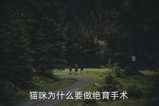 貓咪為什么要做絕育手術