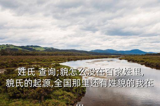 姓氏查詢,代理人相貌歧視與中國人口有關