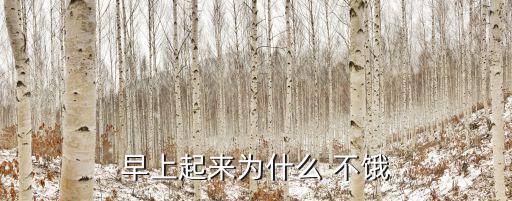 早上起來為什么 不餓