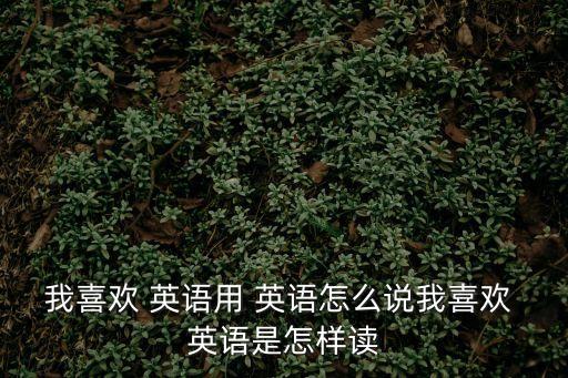 我喜歡 英語用 英語怎么說我喜歡 英語是怎樣讀