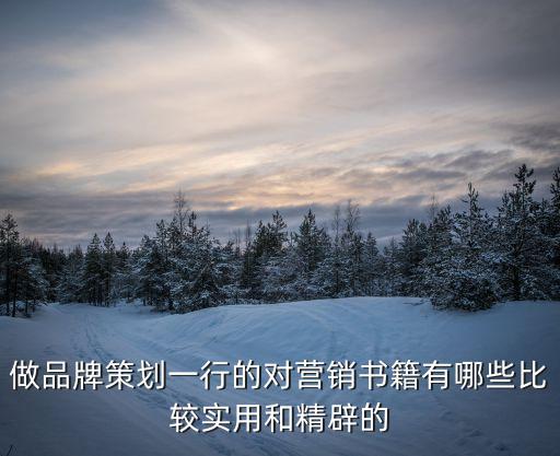 做品牌策劃一行的對營銷書籍有哪些比較實用和精辟的