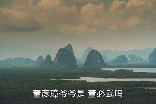 董必武簡(jiǎn)介,董必武小兒子董良玉上演真人秀