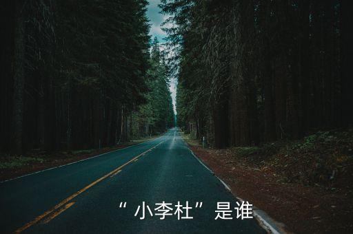 “ 小李杜”是誰