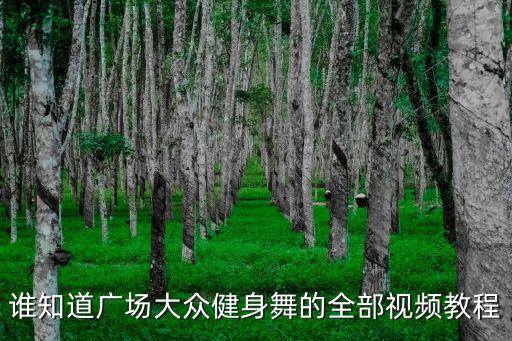 誰知道廣場(chǎng)大眾健身舞的全部視頻教程